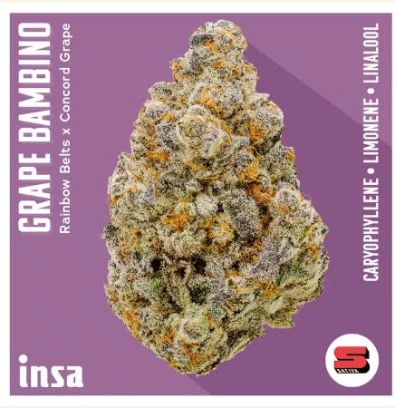 image of Grape Bambino – 14g Flower – INSA