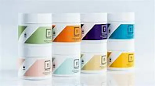 Curio Iced Lemonade Everyday Flower-active