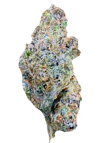 Black Cherry Buff – 14g Flower-2