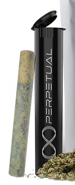 Pineapple Fruz (SH) - 1g Pre Roll - Perpetual