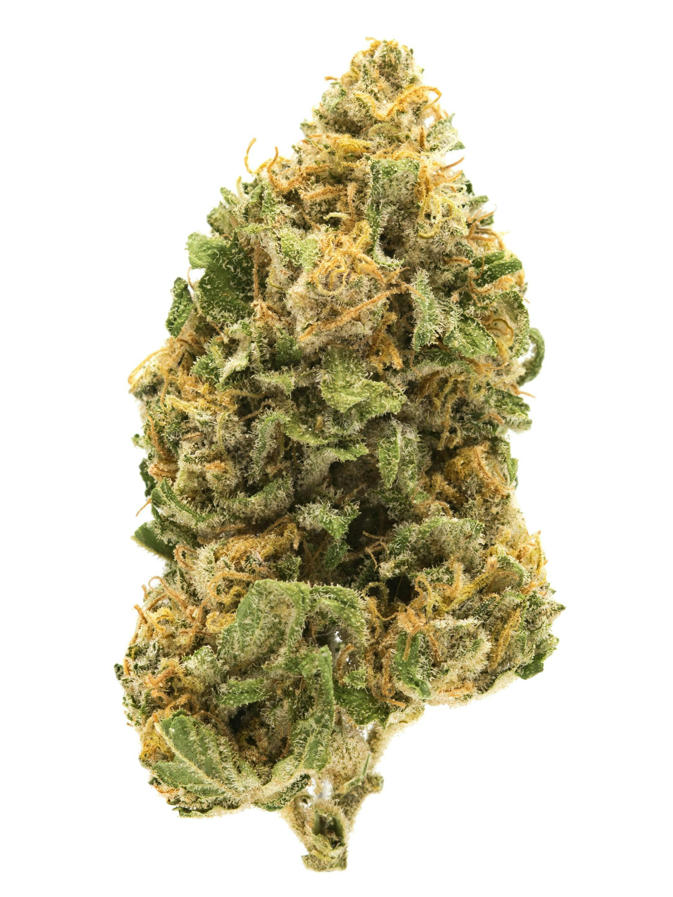Freedom Green Farms FREEDOM GREEN FARMS | SWEET DREAMS | BULK | INDICA/HYBRID — FLOWER