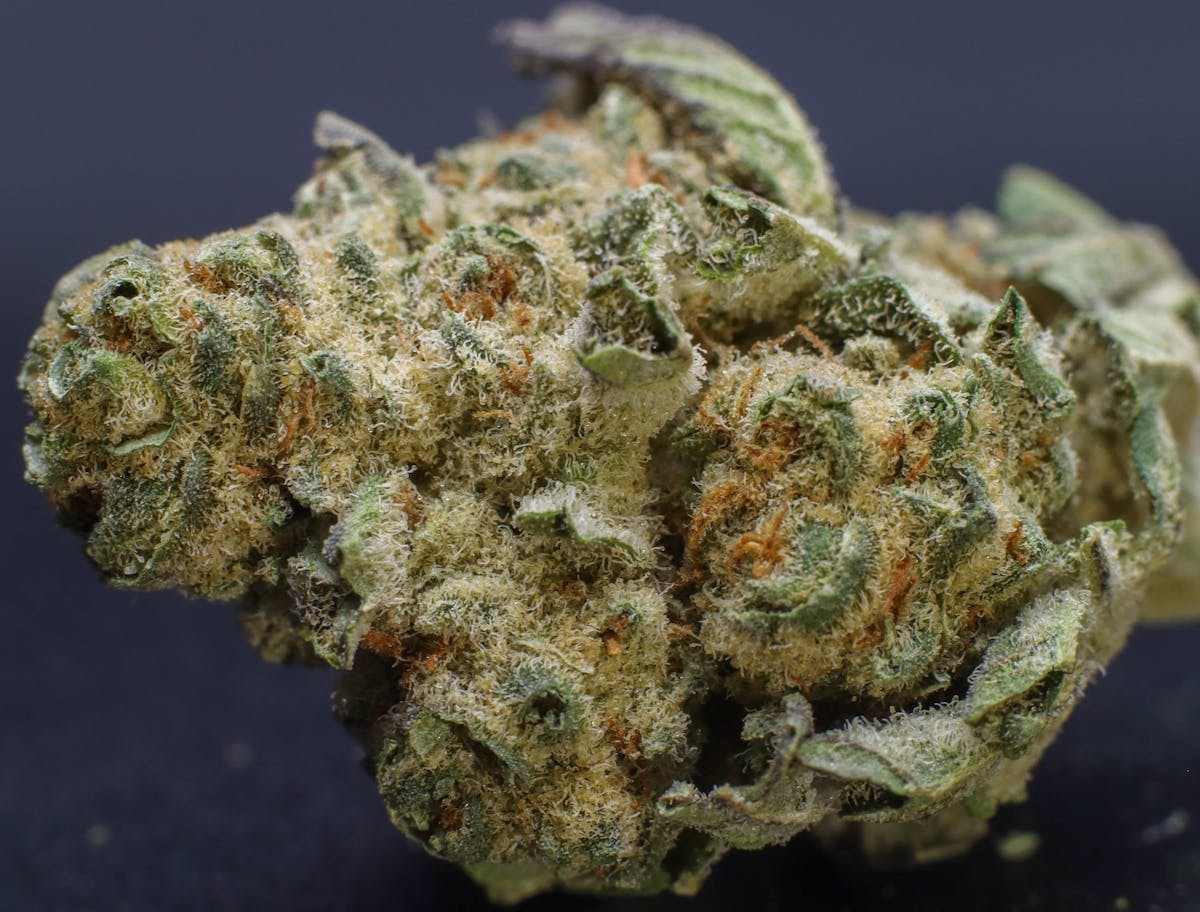 Photo of Silver Shelf-Jet Fuel (S)