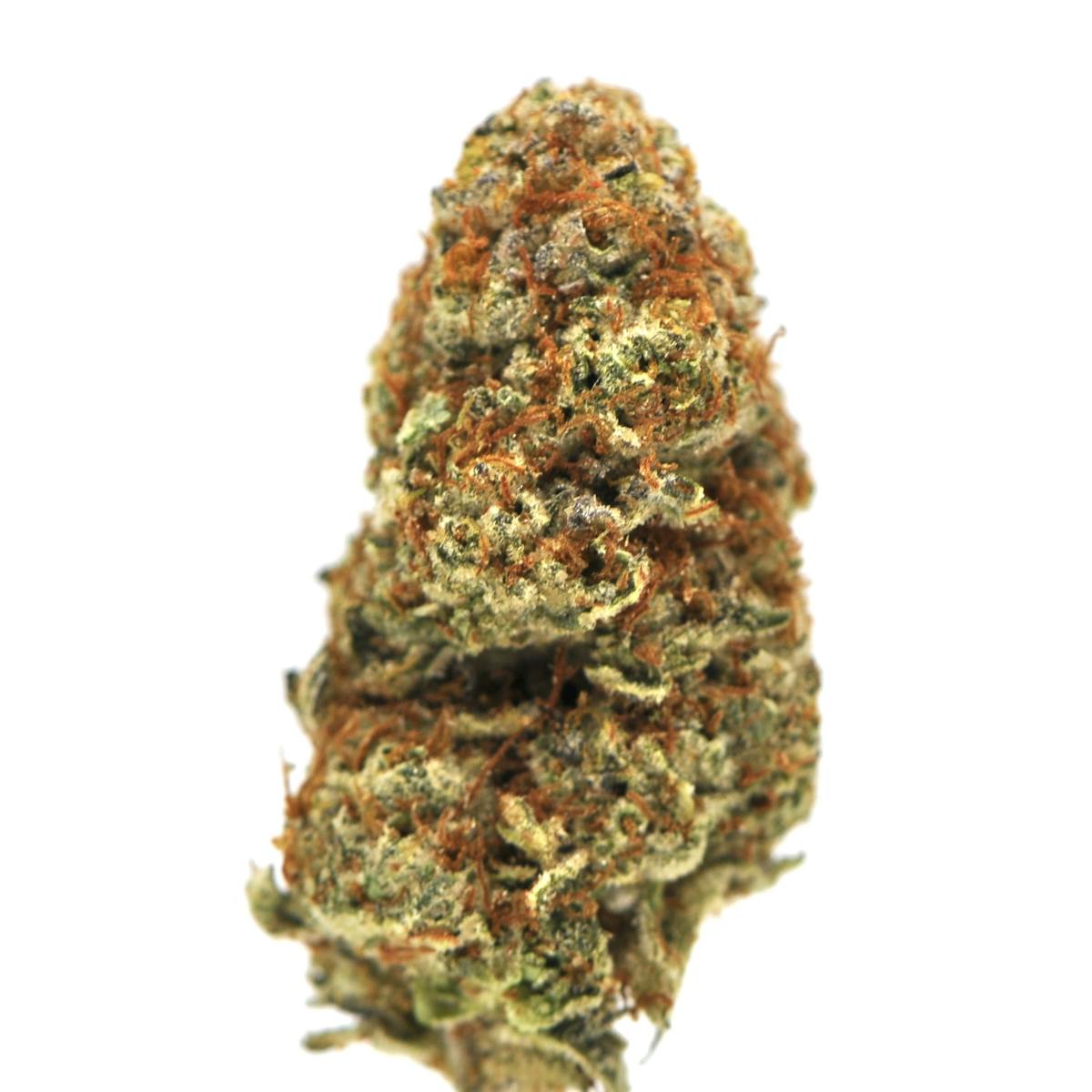 Image of Milk & Cookies | 3.5g Prepackaged Flower