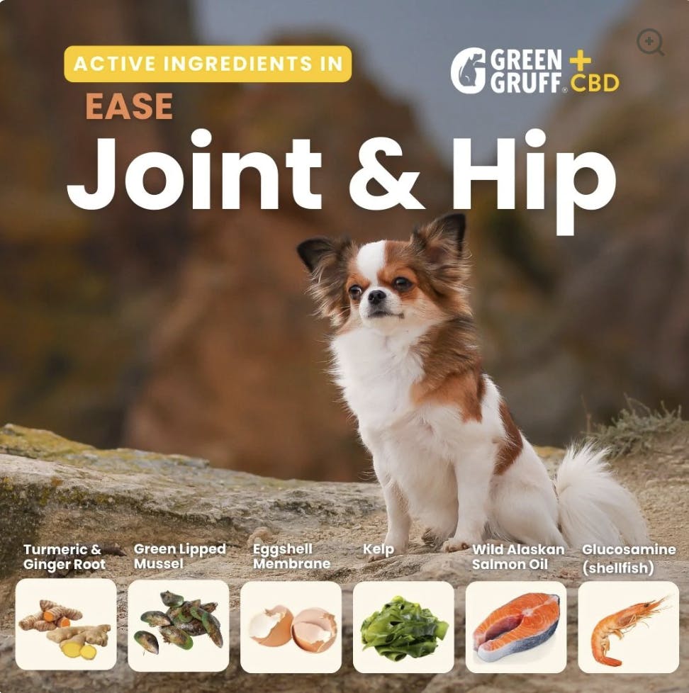 Green Gruff- Ease Plus CBD | Joint & Hip Dog Supplement 90ct-2