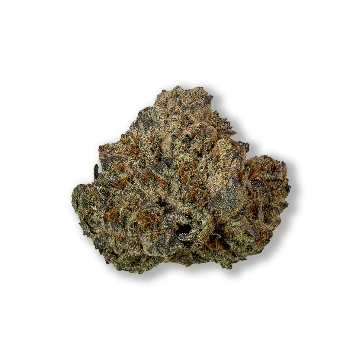 Oceana Gardens OCEANA GARDENS | GARLIC BUDDER | BULK | INDICA/HYBRID — FLOWER