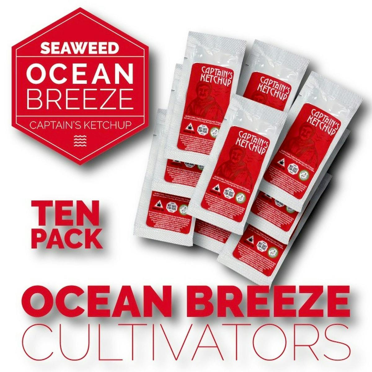 Image of Ketchup | 10 Pack