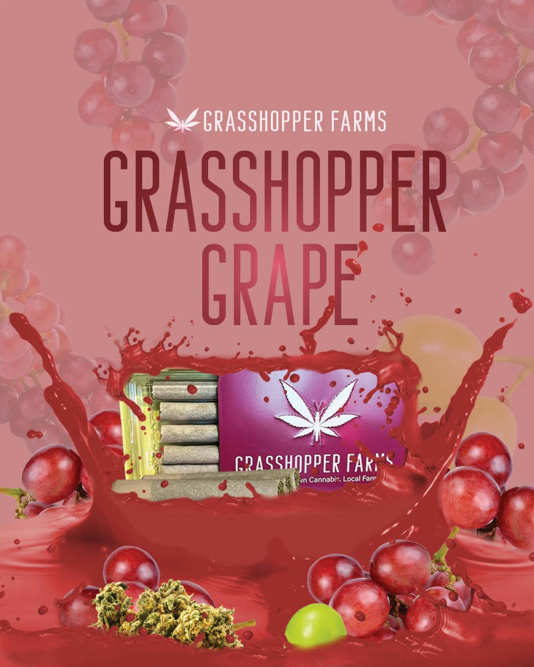 Grasshopper Farms | Grasshopper Grape | Infused Pre-rolls TIn | 1g x 5 | Indica