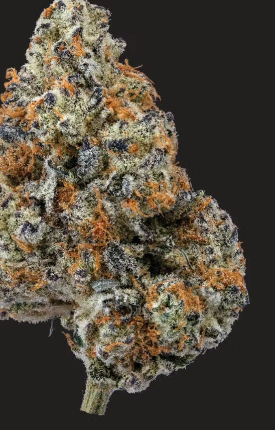 Product Rotten Rozay Buds