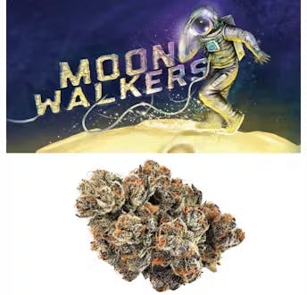 Cookies Moonwalkers