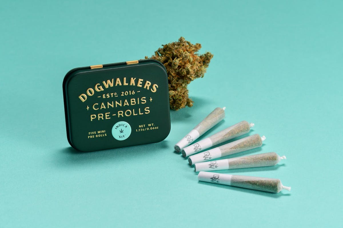 Image of OMG | .35g 5pk