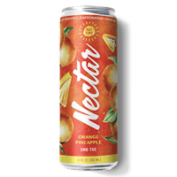 Product Orange Pineapple