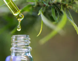 Tinctures category image