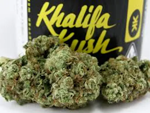 Khalifa Kush – Khalifa Kush Pre-Packaged (3.5g)-active