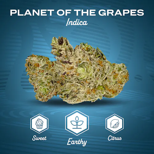 28g | Planet of the Grapes-1