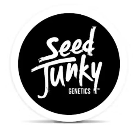 Product: Seed Junky | Pre-Pack - 3.5g - Blue Slurpz
