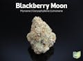 Farkas Farms: Blackberry Moon - 14.15g