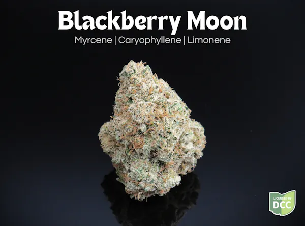 Peach Dosi 2.83g Flower | Butterfly Effect by Grow Ohio |
