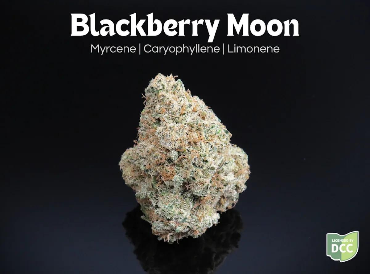 Blackberry Moon 14.15g Flower | Farkas Farms |
