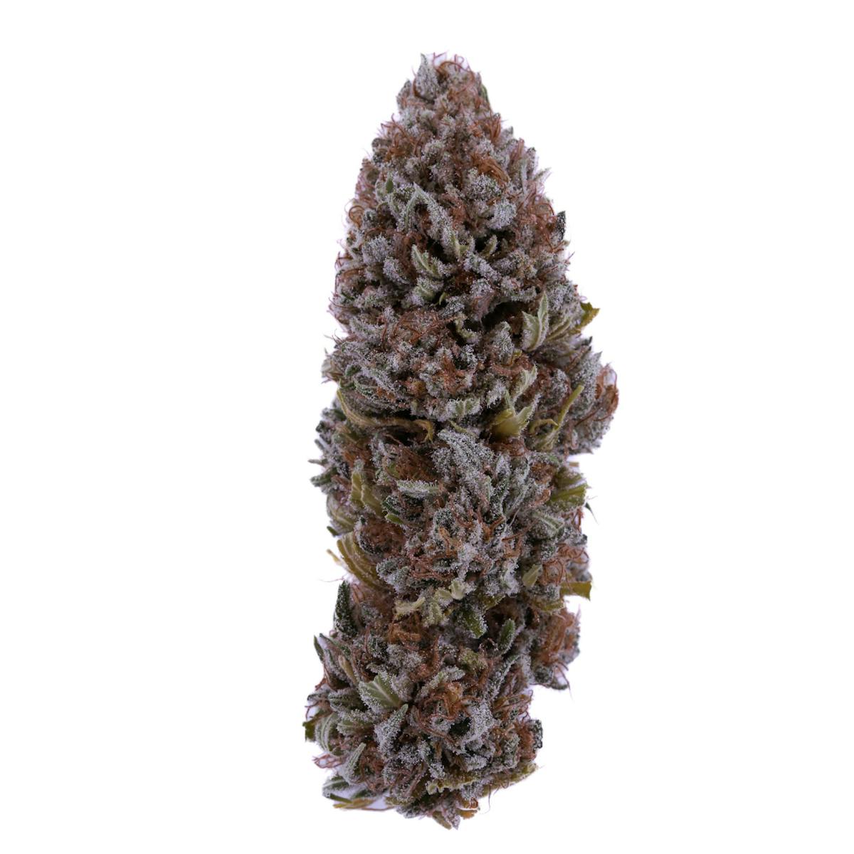 Photo of White CBG Flower Strawberry Hilll