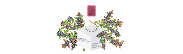 Marionberry (I) - 10pk | 100mg Gummies - WYLD