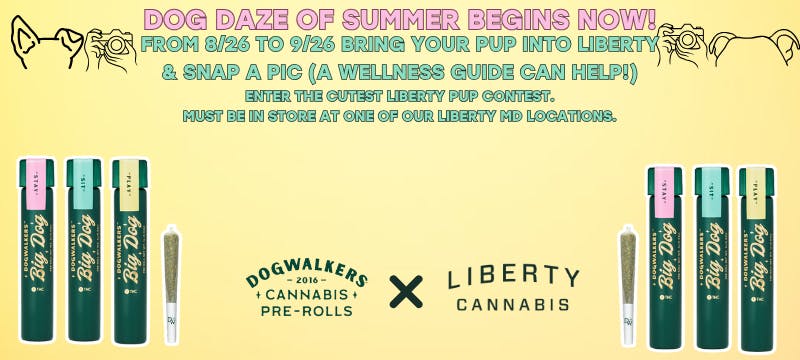 buy cannabis vape online Baltimore Prestashop ID: 9 All The Same Flavor:Orange Sparkle Voopoo Drag Nano Pod