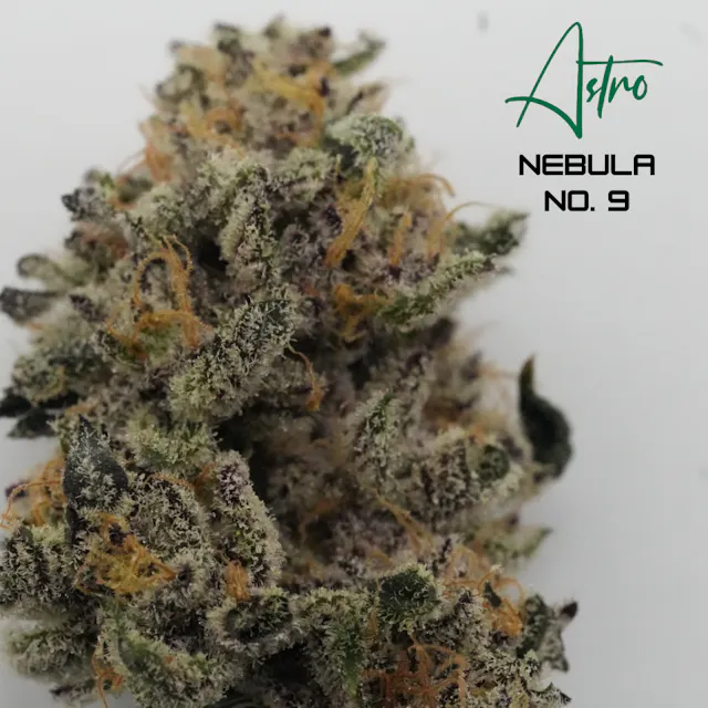 Astro Flower Nebula No. 9 3.5g (hybrid)