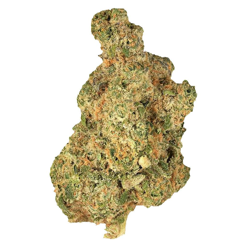 ドリカム　DELICIOUS MD 1964 - Lemon Diesel Dried Flower- - Sativa | The Herbary