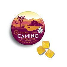 Photo of Camino Pineapple Habanero ‘Uplifting’ Gummies [20pk]