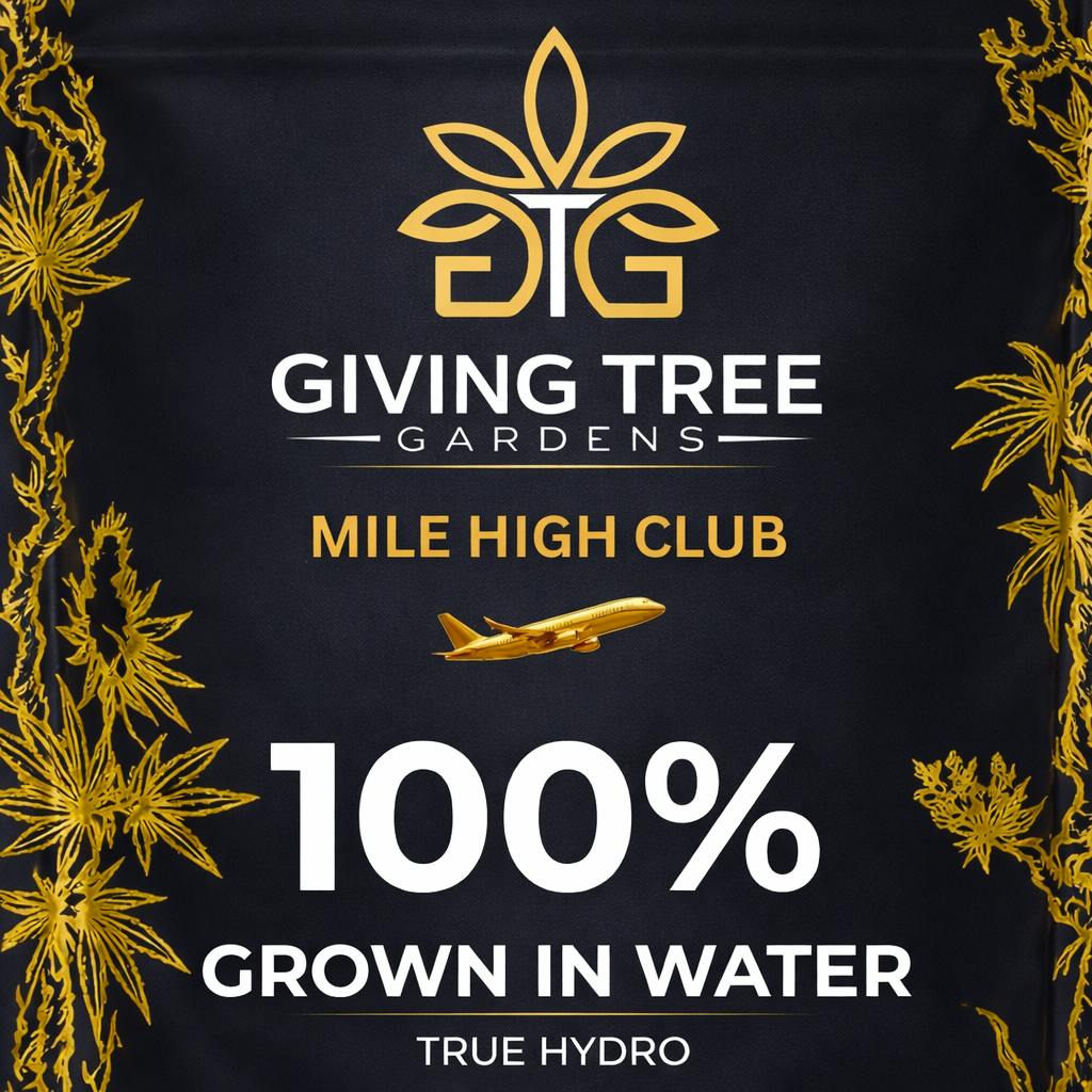 DELI - Giving Tree - Mile High Club