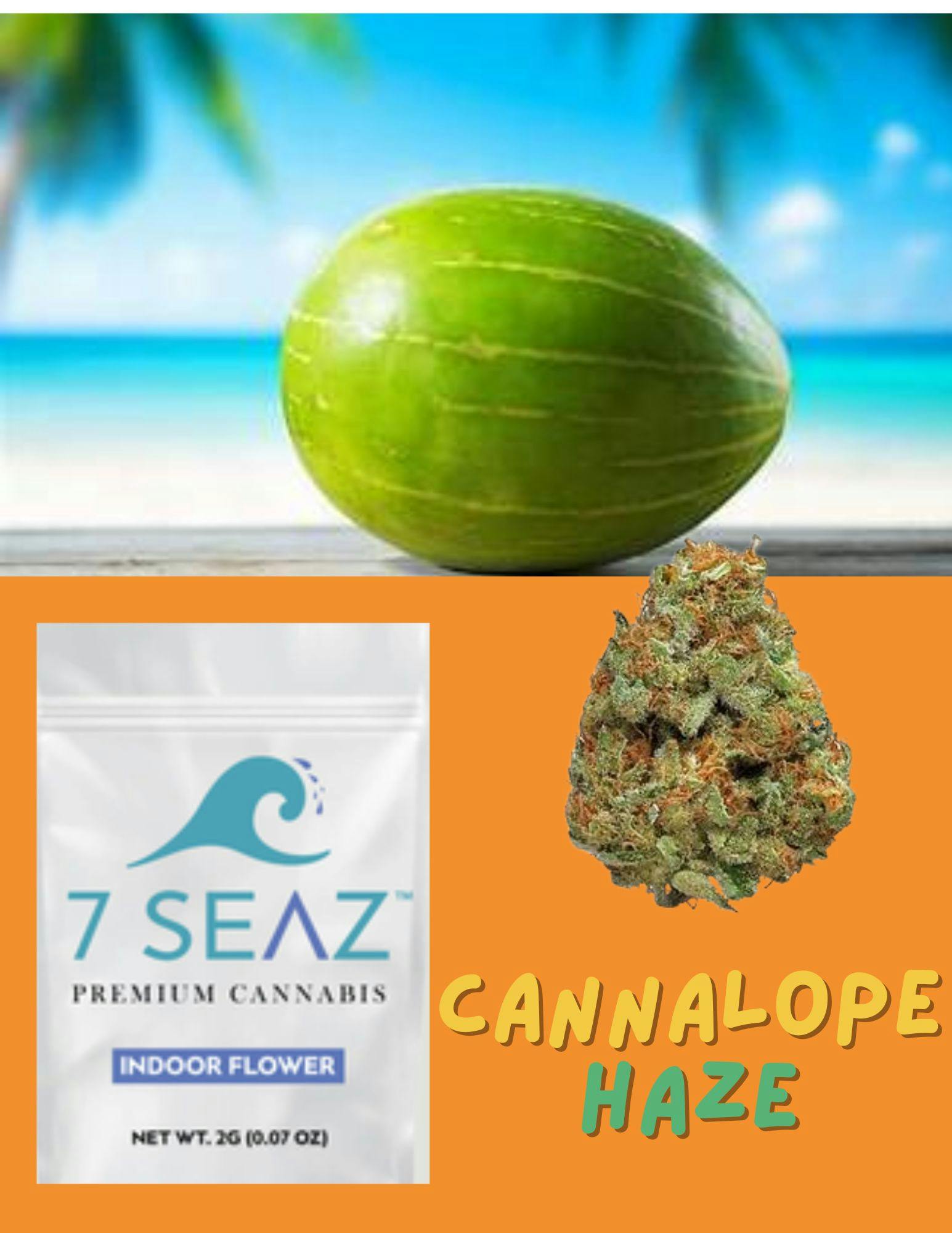 7 SEAZ 7 Seaz | Indoor Flower | 2g | Cannalope Haze