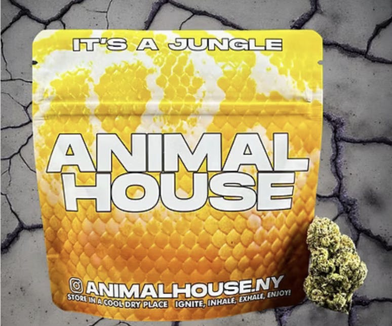 Animal House | Vanilla Cream Flower
