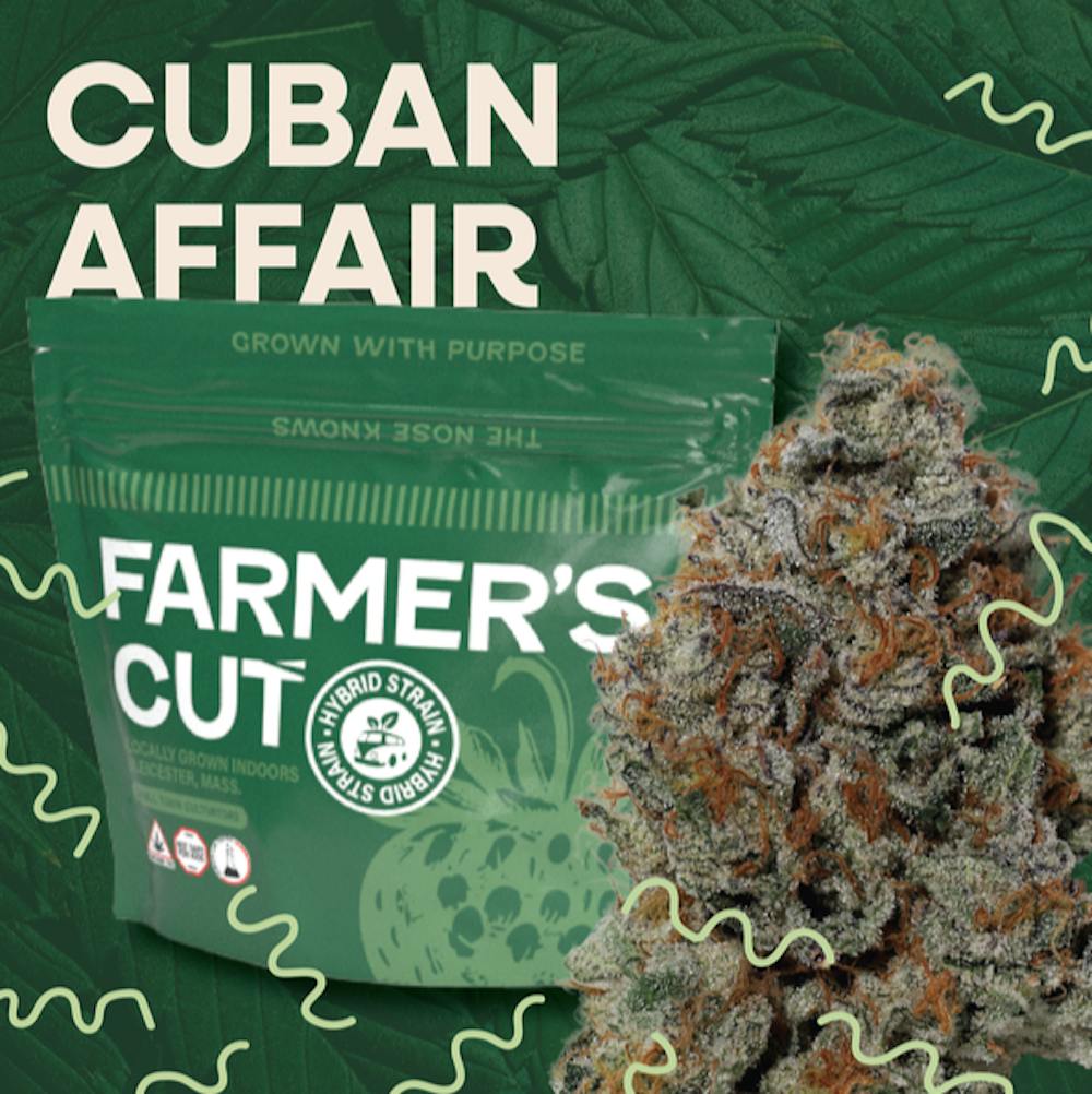 Product Cuban Affair - Flower