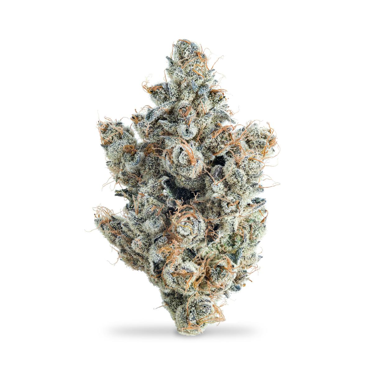 Photo of Super Lemon Kandy B Buds