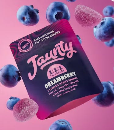 Dreamberry Gummies | 1:1 THC:CBN | 20mg | 2pk-2