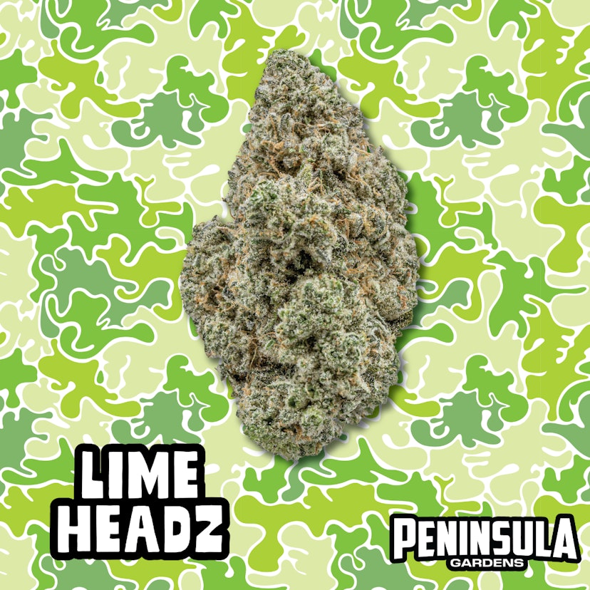 Peninsula Gardens | Lime Headz