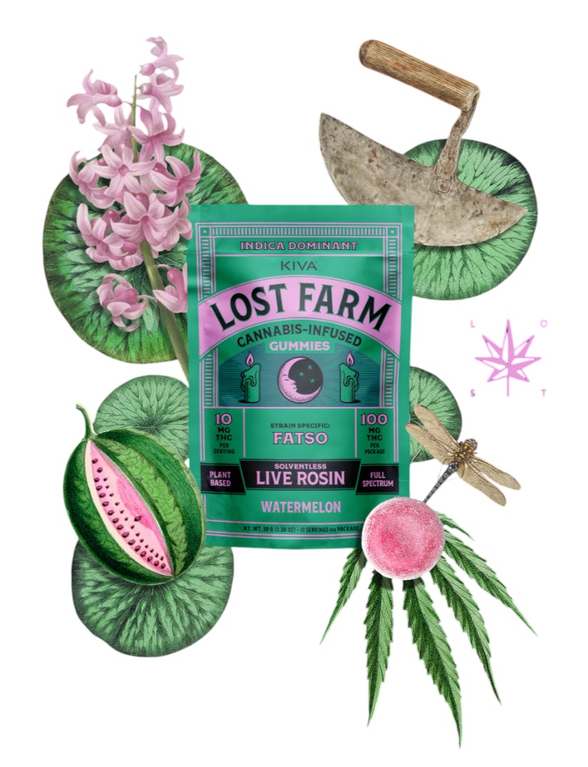Lost Farm Watermelon x Fatso 10pk 10mg Live Rosin Gummies - The