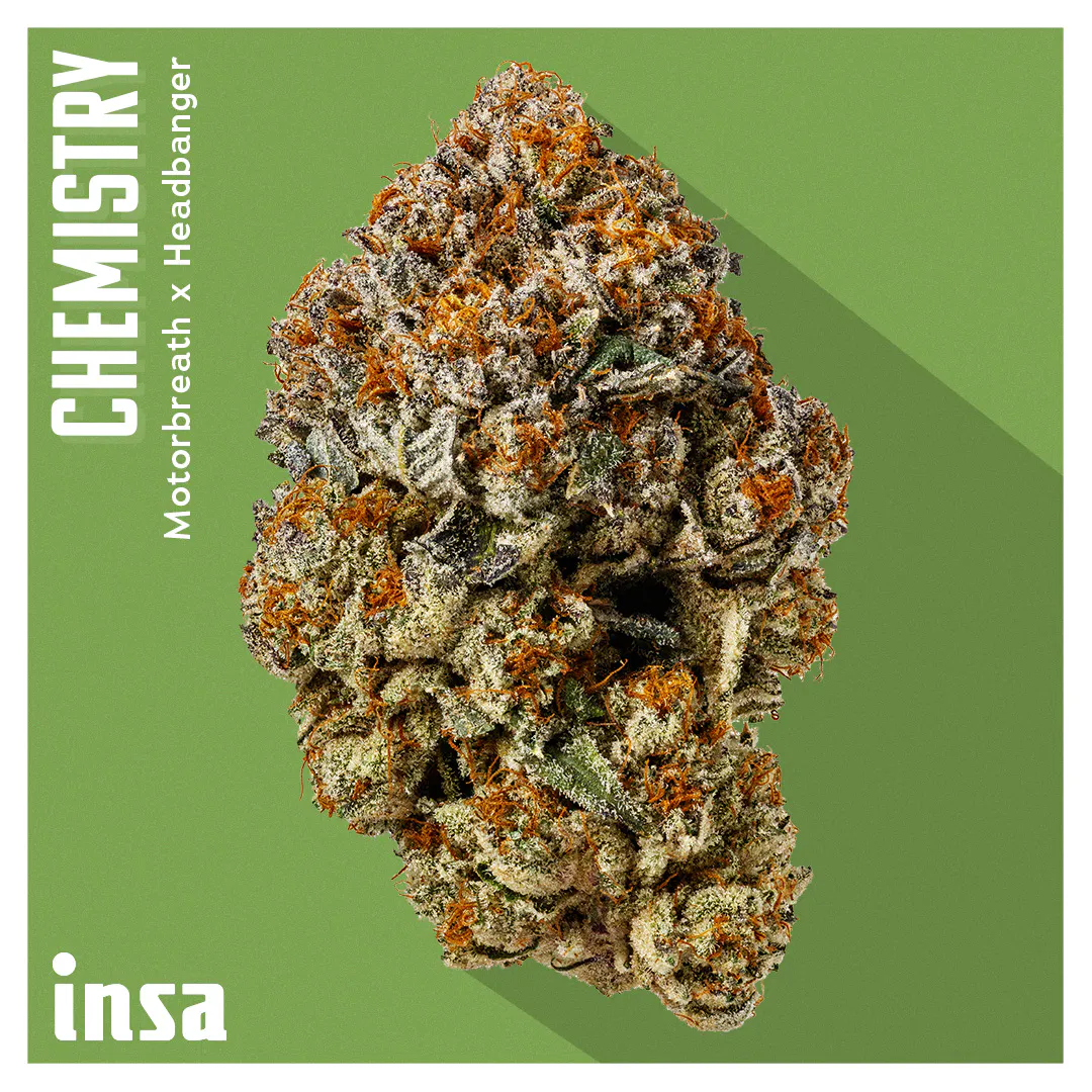 Cannabis Premium | INSA Inc. Salem – Adult Use