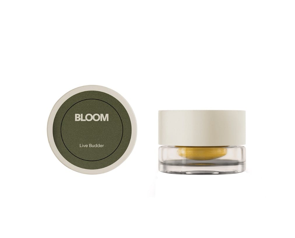 Bloom