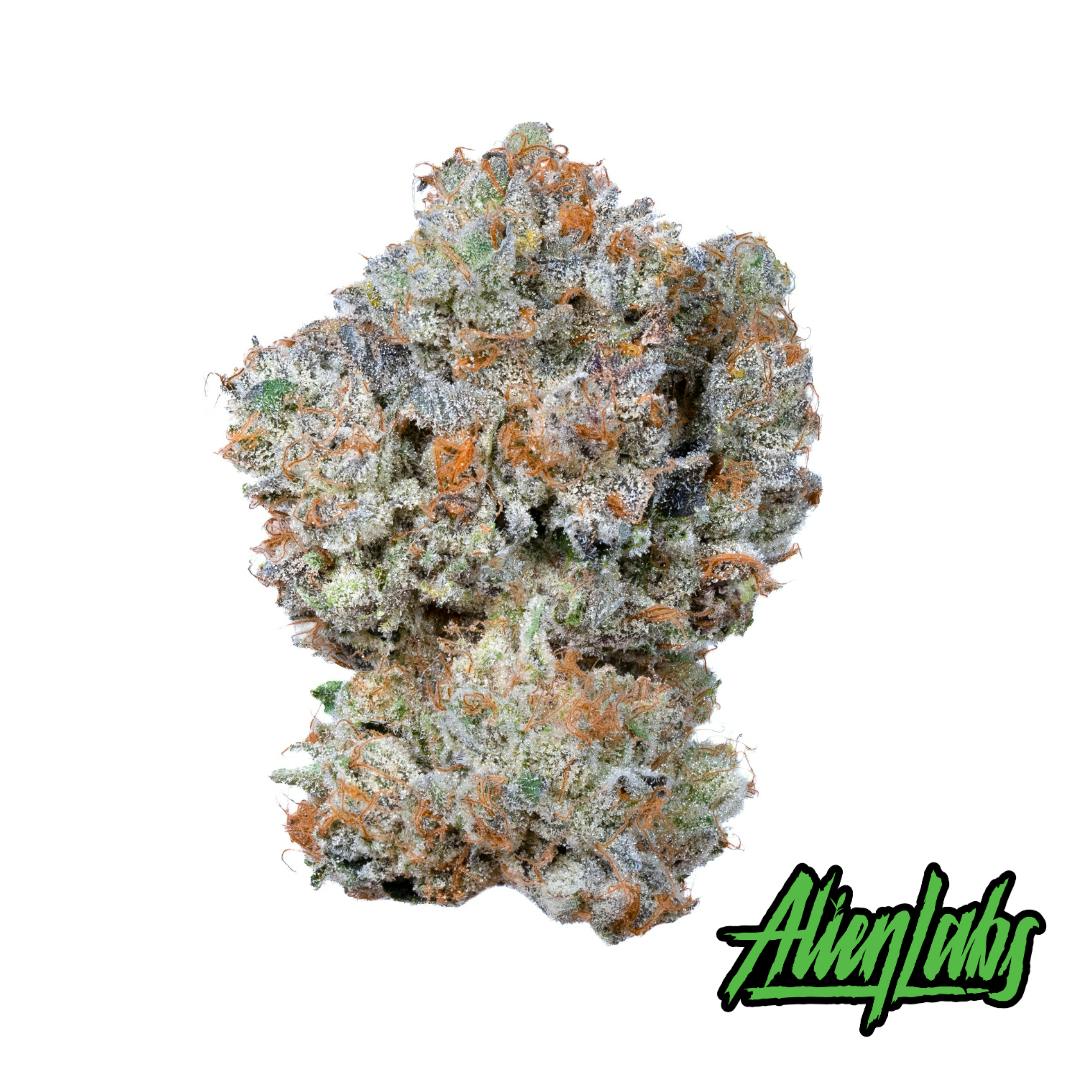 Gemini Premium Flower