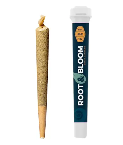 Gelato Punch Pre-Roll | 1g-1