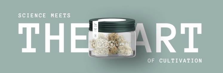 Product: Six Labs | Biggie Runtz "Smalls" | Bulk Flower