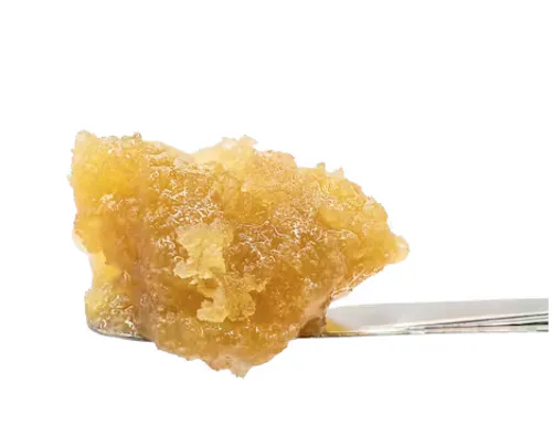 OGKB 2.0 BX | Live Terp Sugar | 3.5g-1
