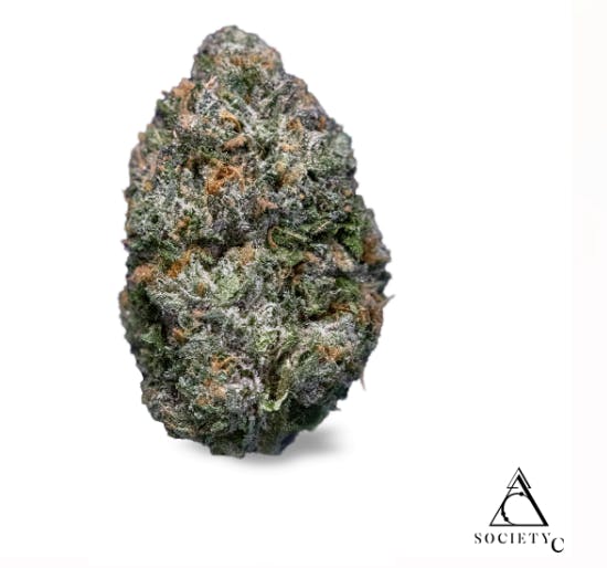 Product: Ms New Booty | Society C