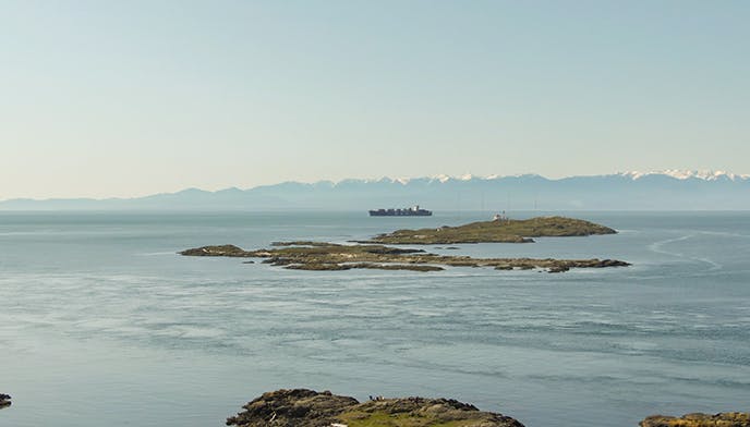 Pacificanna – Jubilee logo