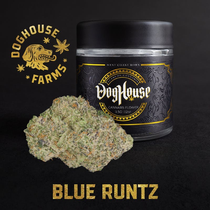 Blue Runtz B Buds Bulk Indica / Hybrid by Doghouse Farms – Flower at Gatsby Cannabis