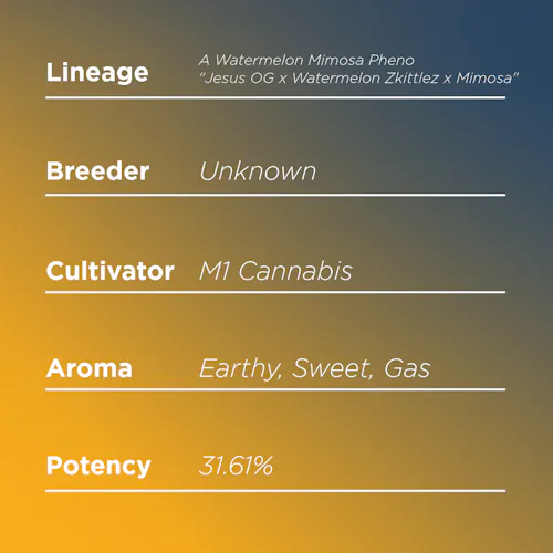 Deli Style | Dirty Mike – Hybrid-1