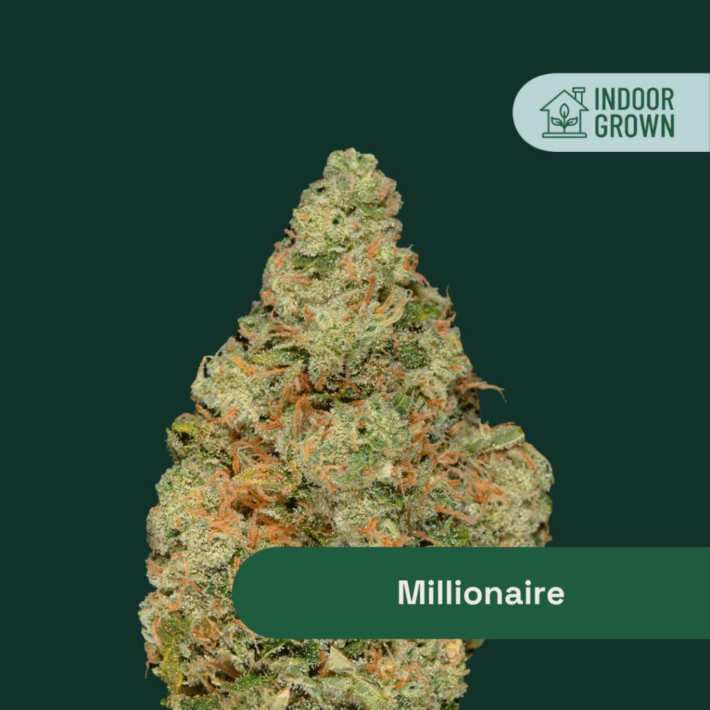 The Botanist | Millionaire #4 | Smalls | 14g