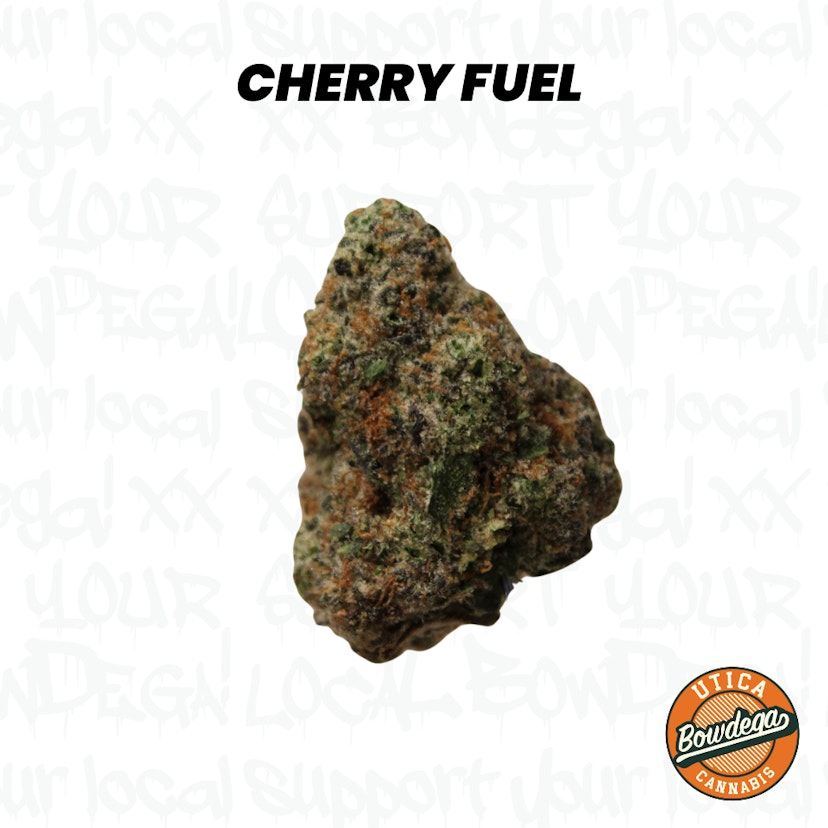 Bowdega | Cherry Fuel