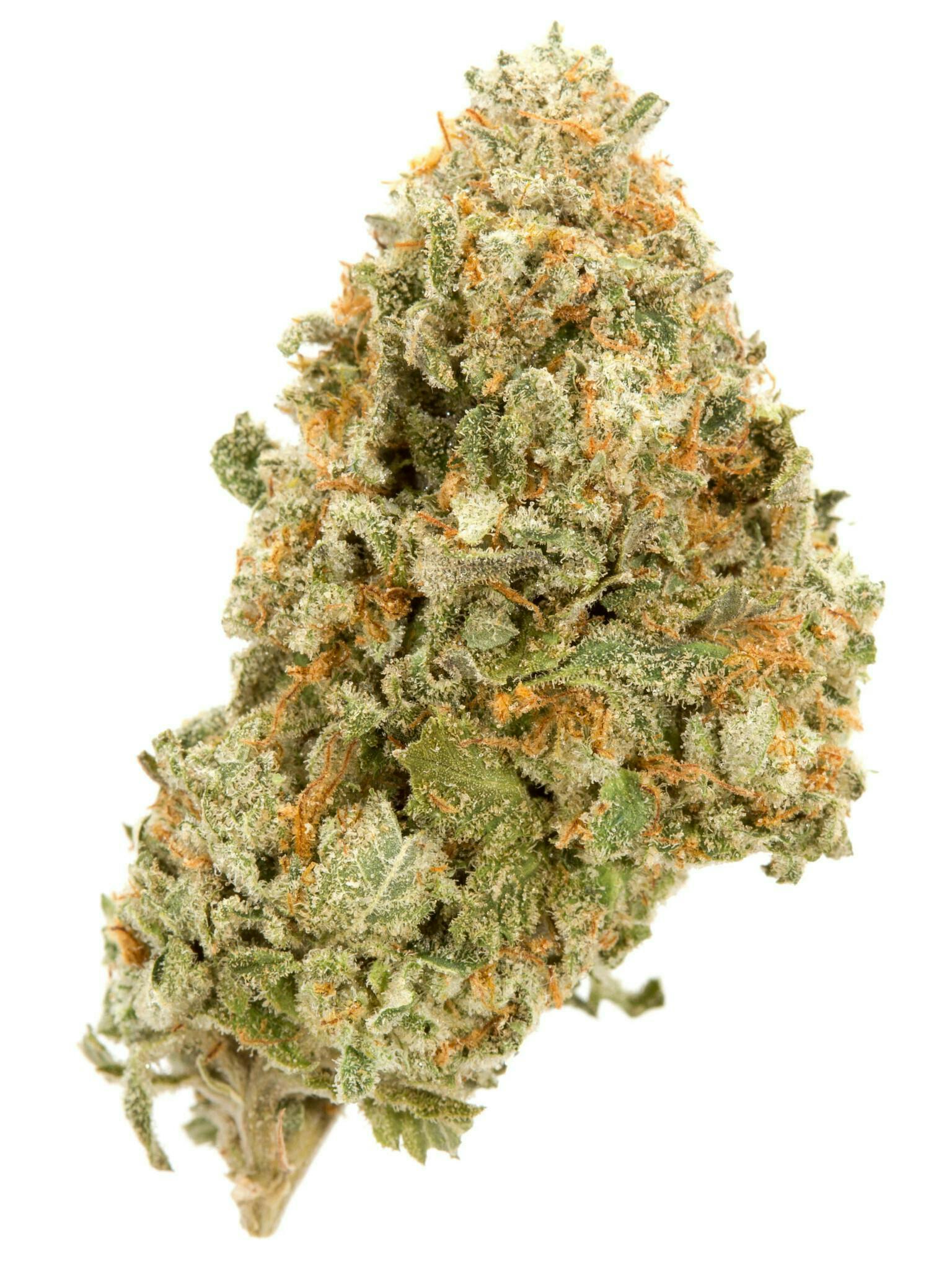 GATSBY CANNABIS CO. GATSBY CANNABIS CO. | BLACKNANA | PRE-PACK INDICA/HYBRID — FLOWER