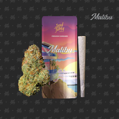 Seed Junky - 1g Preroll - Malibu